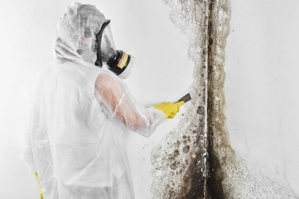 Clintonville, WI Mold Remediation Company