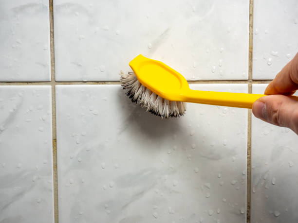 Best Residential Mold Remediation in Clintonville, WI