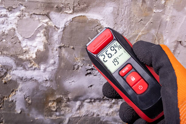 Best Post-Flood Mold Remediation in Clintonville, WI